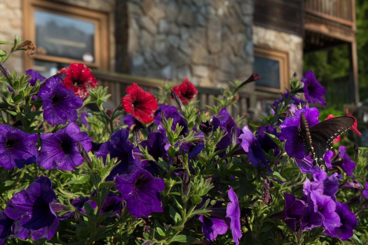 Springmaid Mountain Villa Spruce Pine Dış mekan fotoğraf